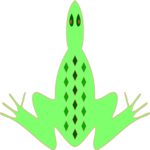 Frog 8