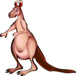 Kangaroo 08