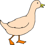 Duck 67