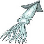 Squid 06