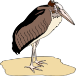 Marabou Stork 4