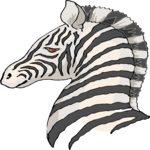 Zebra 12