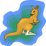 Kangaroo 12