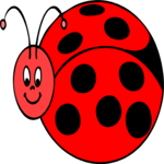 Ladybug 12