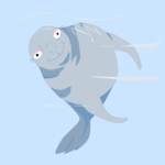 Seal Smiling 2