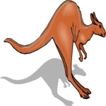 Kangaroo Jumping