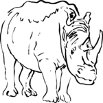 Rhino 2