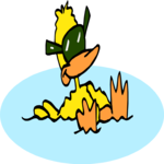 Duck Swimming