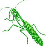 Grasshopper 15