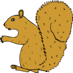 Squirrel 08