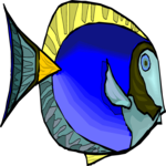 Fish 147