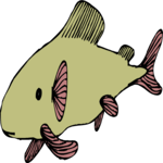 Fish 077