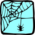 Spider & Web 1