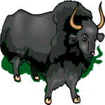 Musk Ox 3