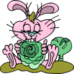 Rabbit Eating Cabbage