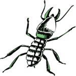 Crawling Insect 38