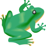 Tree Frog 1