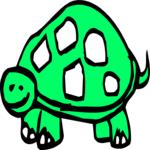 Turtle 06