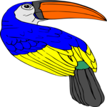 Toucan 04