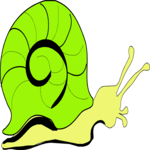 Snail 14