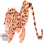 Cheetah 2