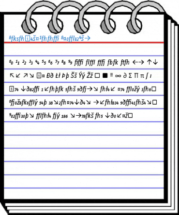 InfoTextBook ItalicExp Font
