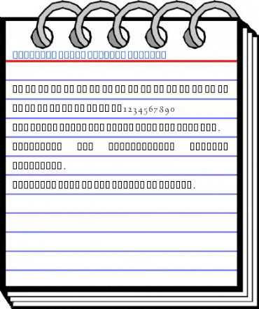 DecoType Naskh Swashes Font