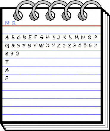 New Regular Font