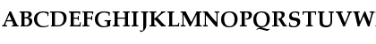 Palatino Linotype Bold Font