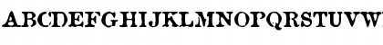 Brunine Bold Font