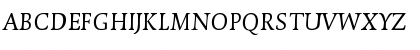 DTLDorianT Italic Font