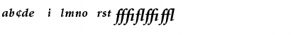 Minion Bold Italic Expert Font