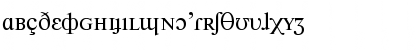 NewtonPhoneticC Regular Font