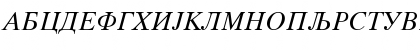 CTimes Italic Regular Font