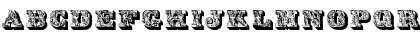 DS Lettres omb饳 orn饳 Regular Font
