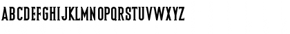 Pacific Standard Serif Bold Font