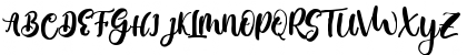 Moleska Regular Font