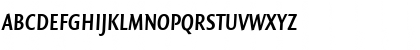 QuadraatSansCon Bold Italic Font