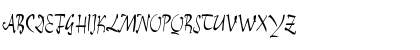 ReinerScript Regular Font