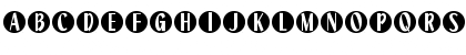 Surkle Regular Font