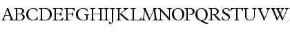 TerminusLightSSK Regular Font