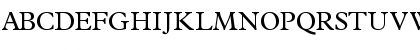 TerminusSSK Regular Font