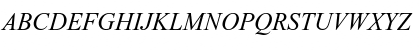 Times New Roman CE Italic Font