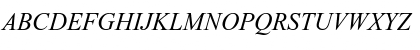 Times New Roman Digiscream Italic Font