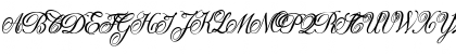 Donna Bodoni Aa Script Regular Font