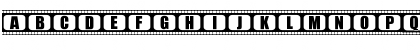 film505 Regular Font