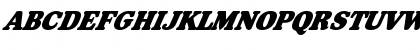 FZ ROMAN 35 ITALIC Normal Font