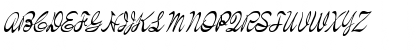 FZ SCRIPT 21 ITALIC Normal Font