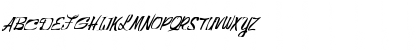 FZ WARPED 25 ITALIC Normal Font