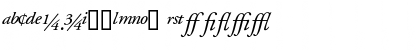 GaramondProSSK Italic Font